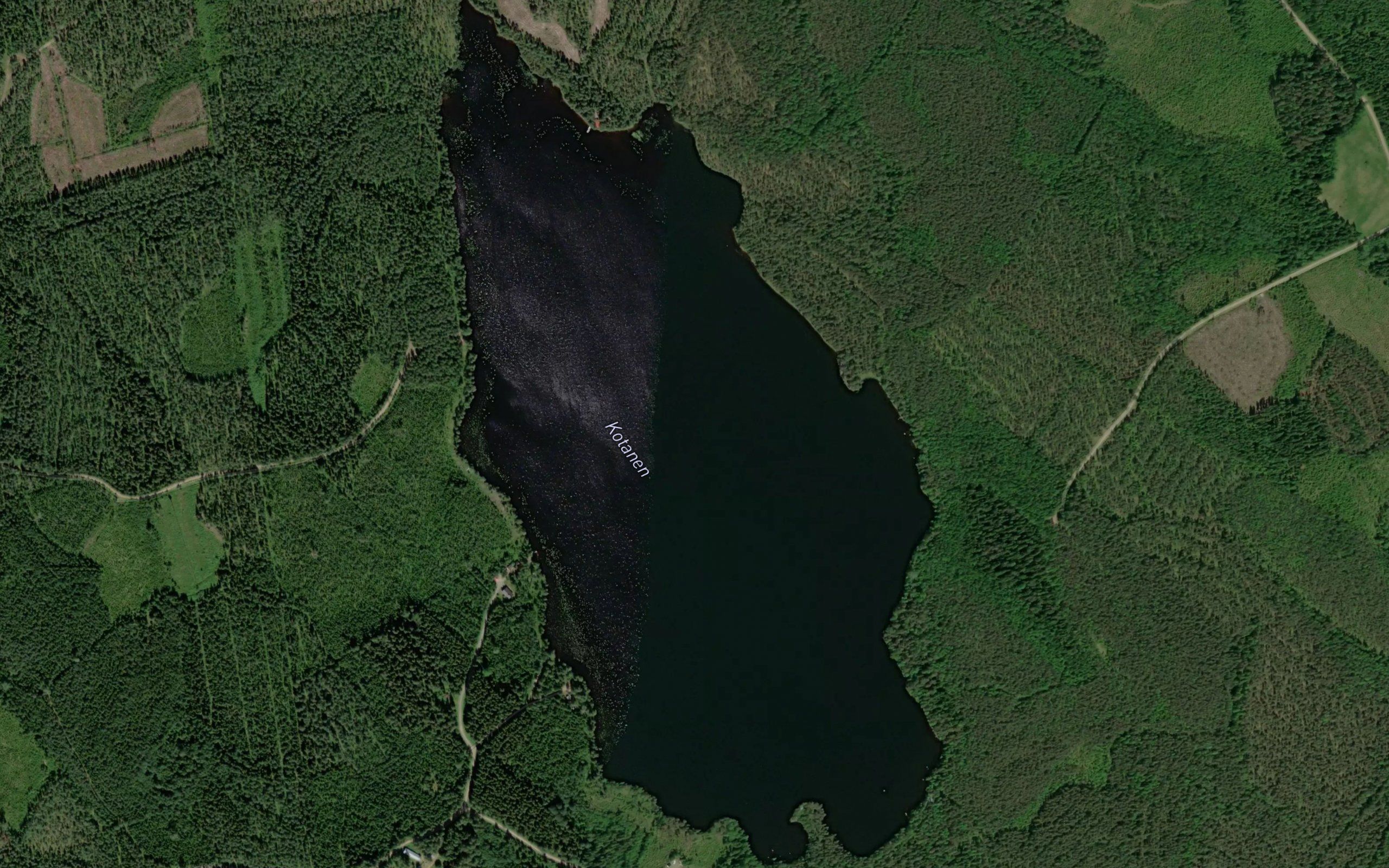 Kotanen