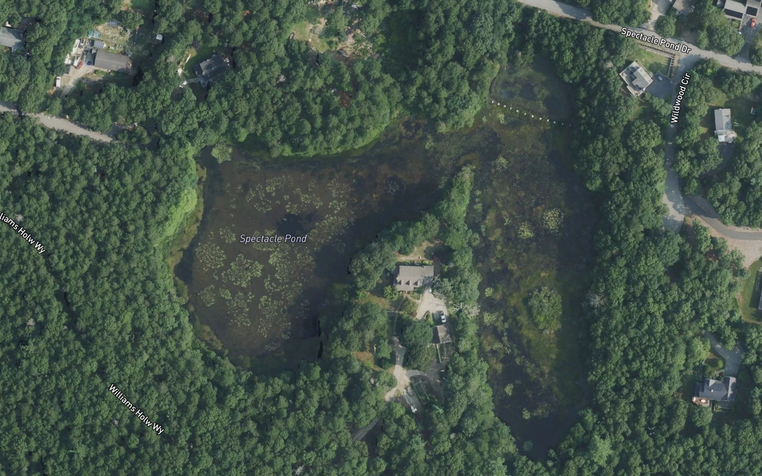 Spectacle Pond