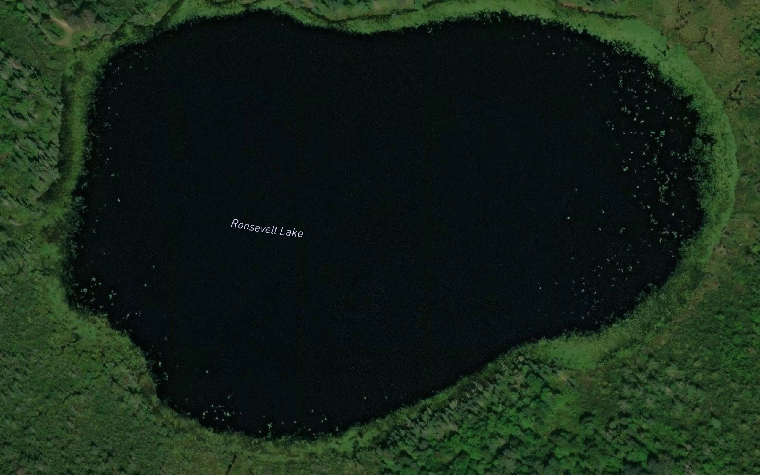 Roosevelt Lake