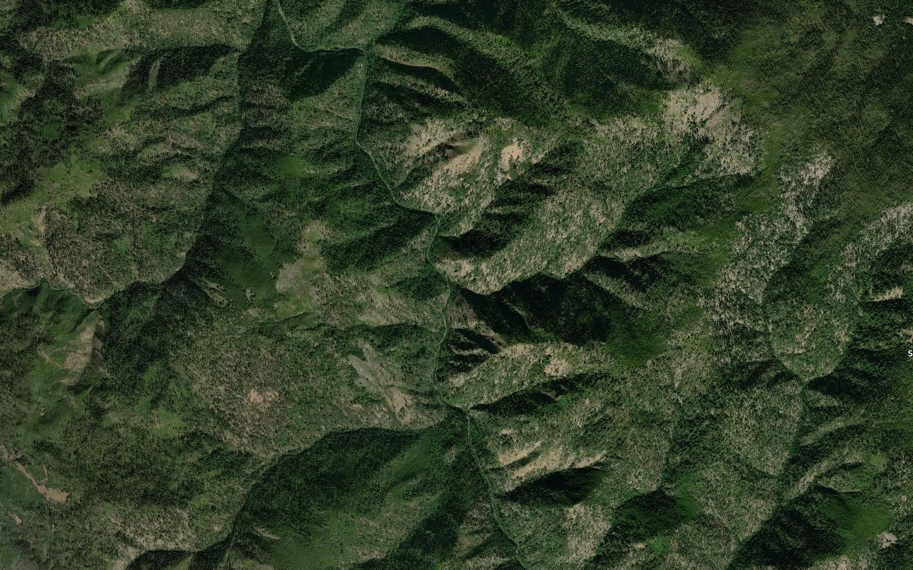 Satellite map of the Paradise Creek