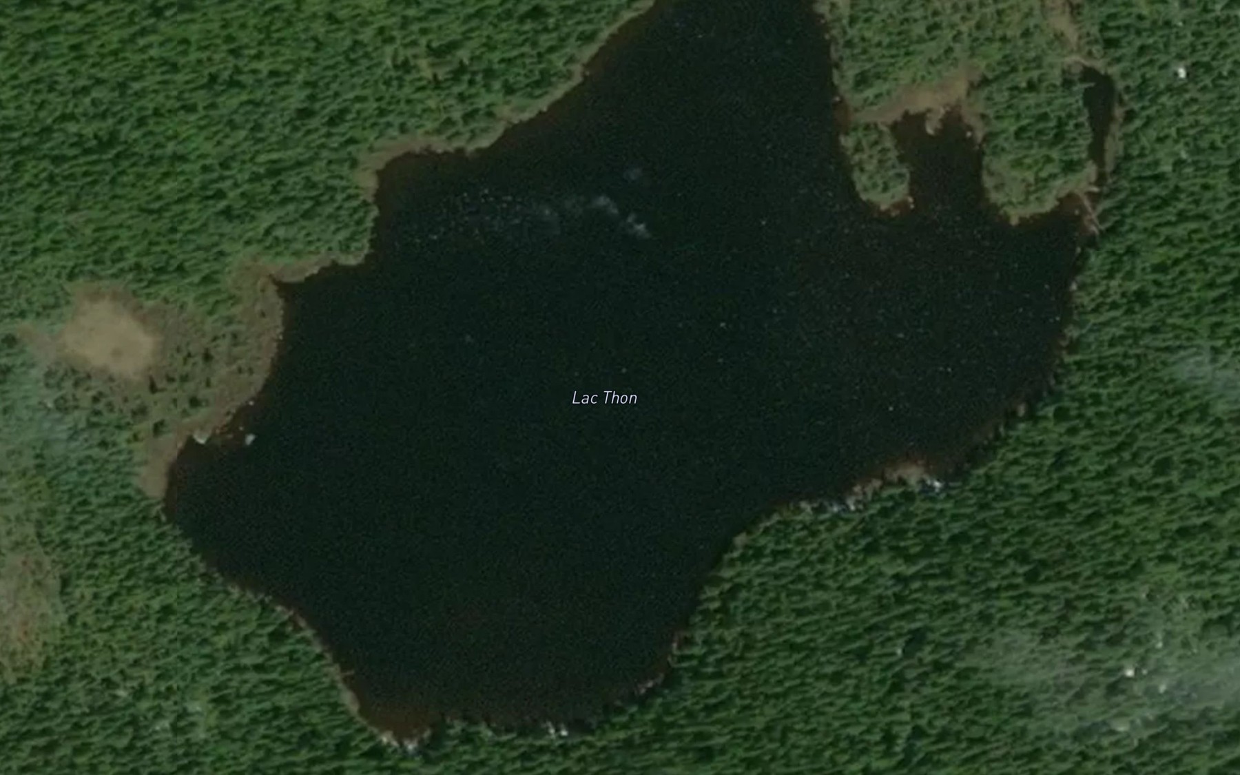 Satellite map of the Lac du Thon