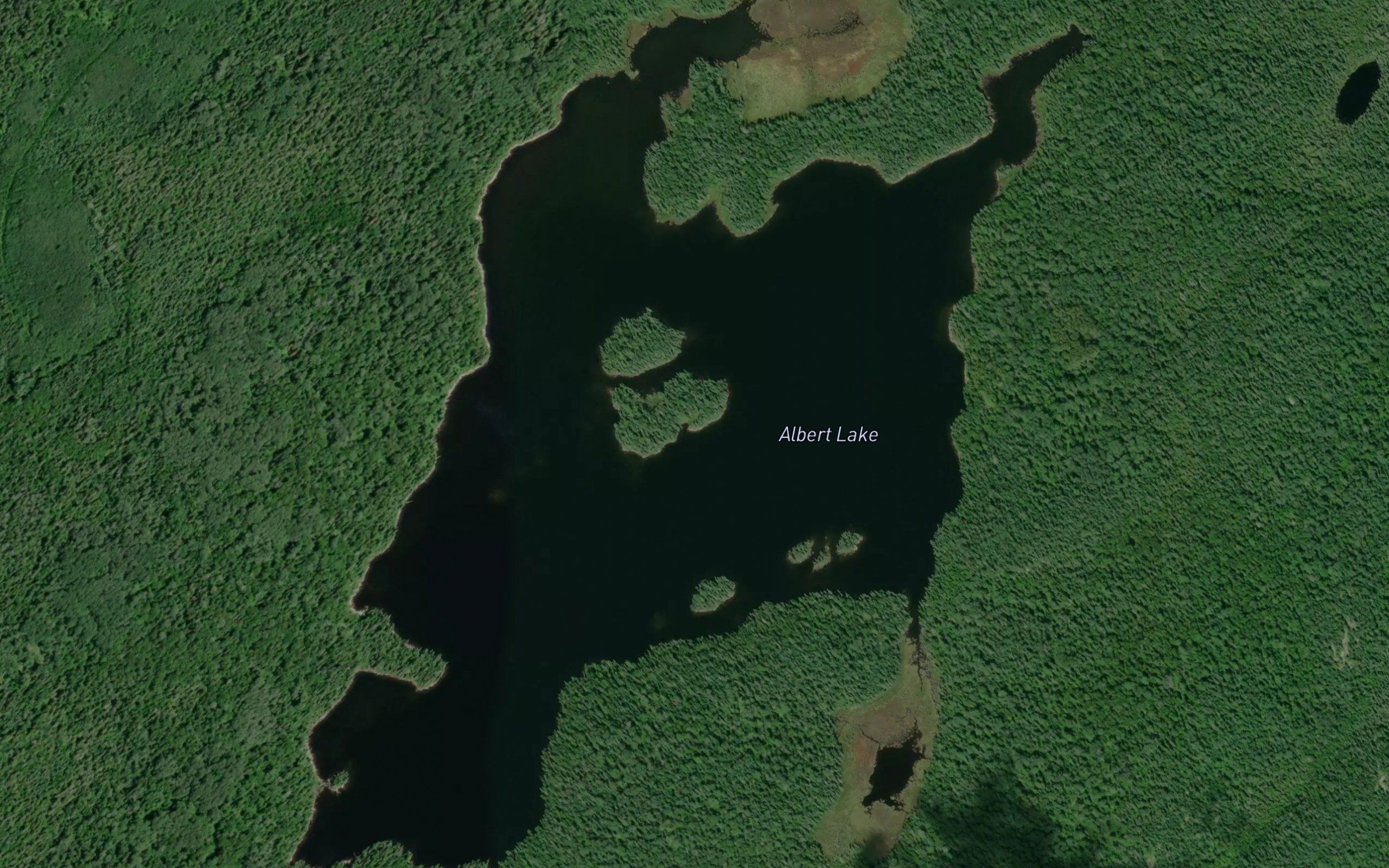 Albert Lake