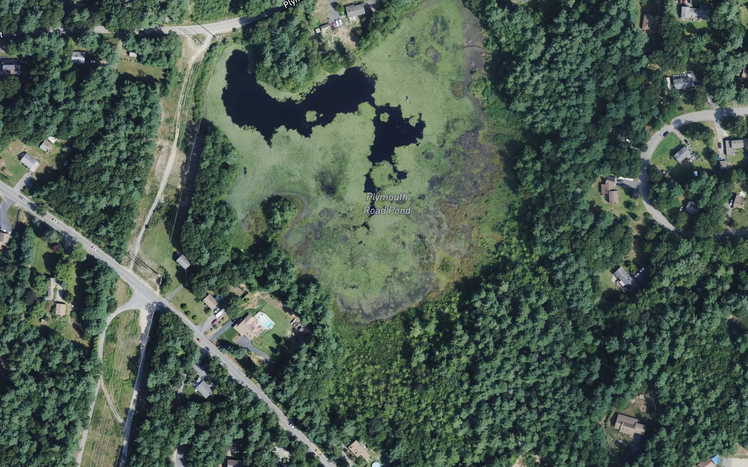 Plymouth Road Pond