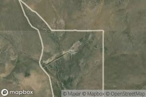 Desert Bog Spring