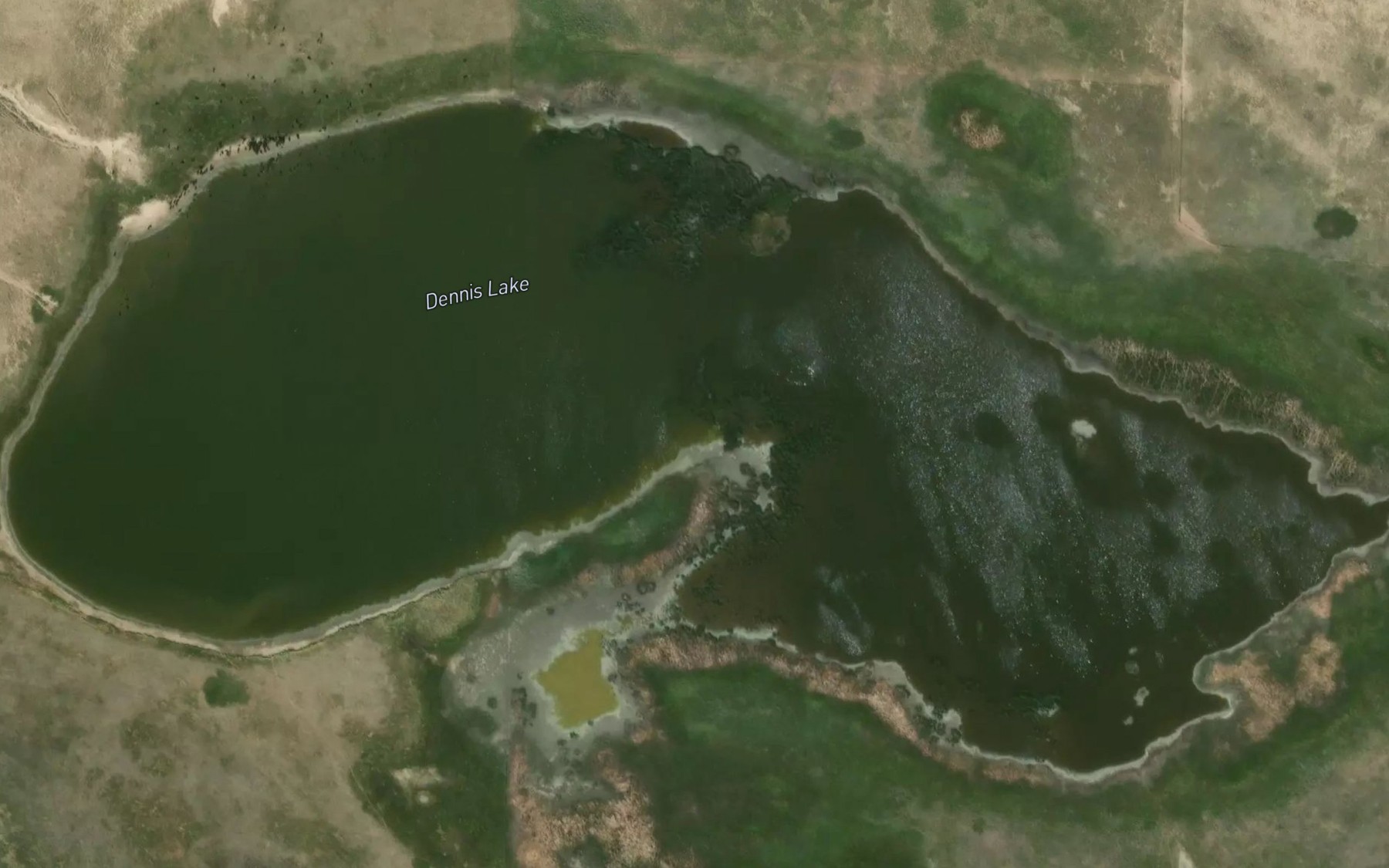 Satellite map of the Dennis Lake