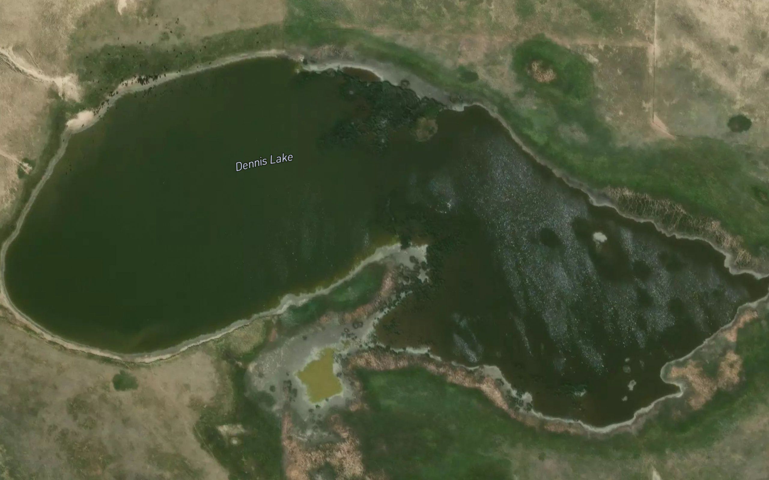 Dennis Lake