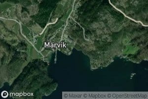Fetavika