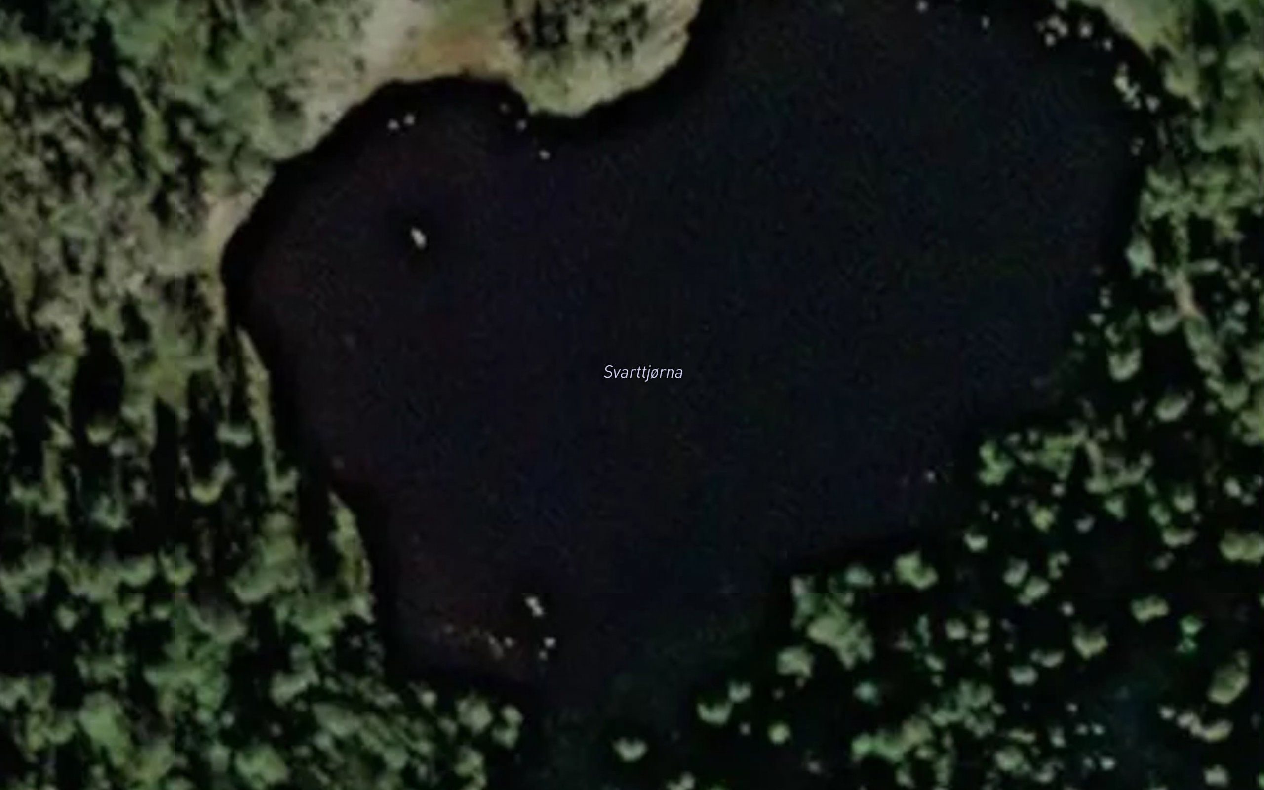 Svarttjorna