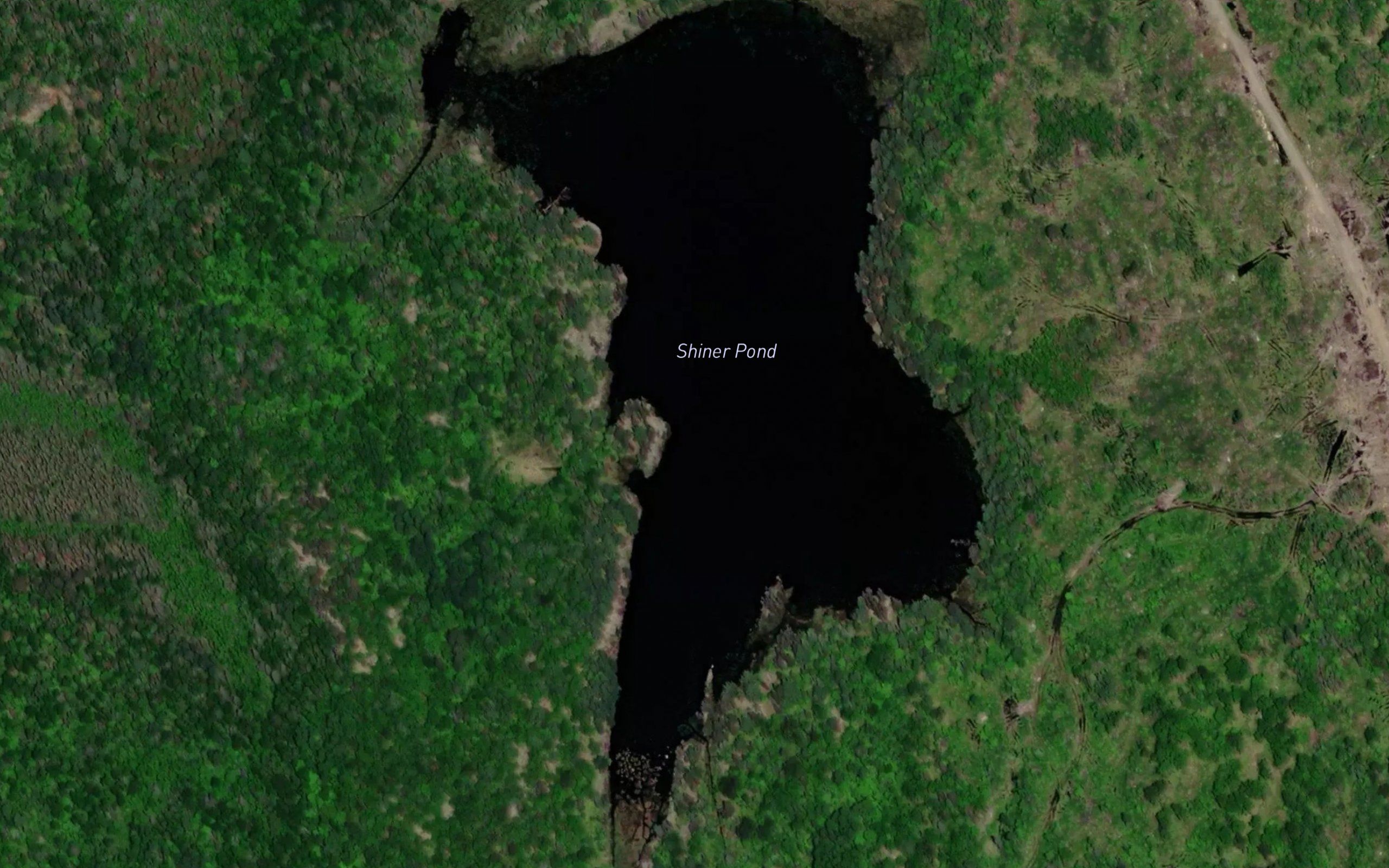 Shiner Pond