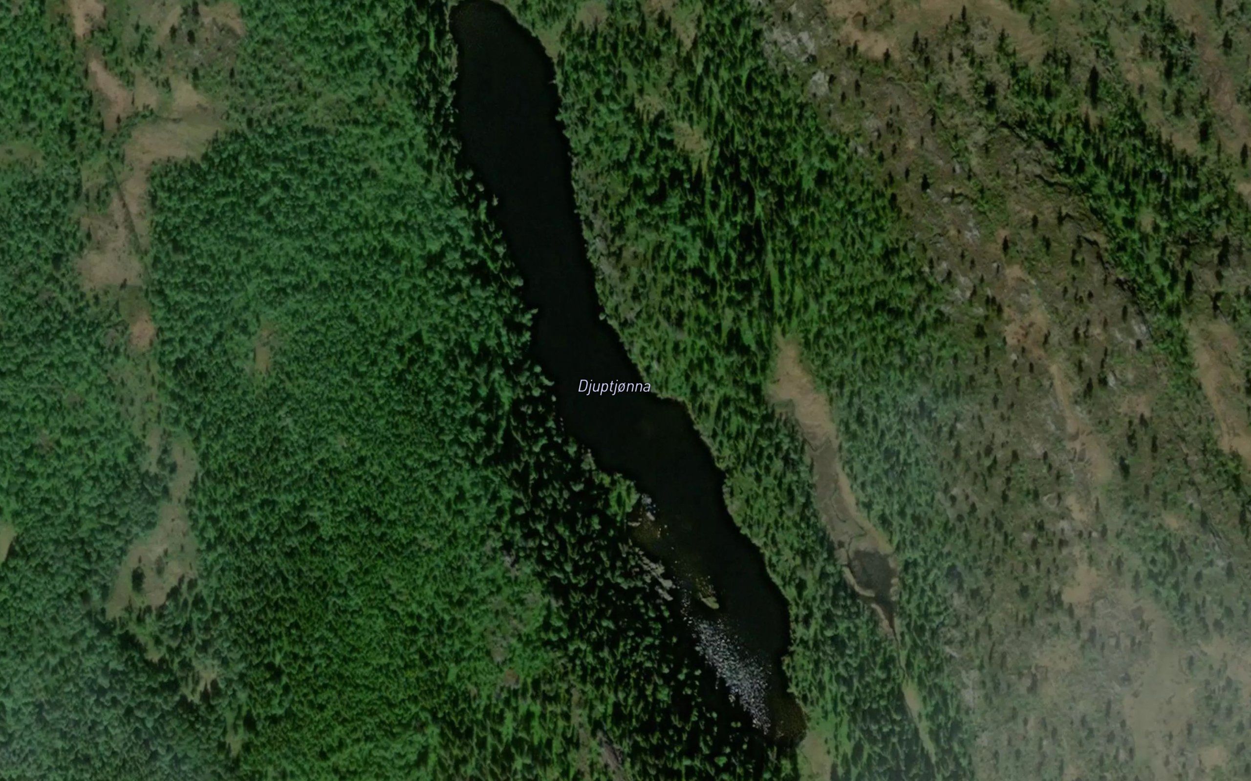 Djuptjorna