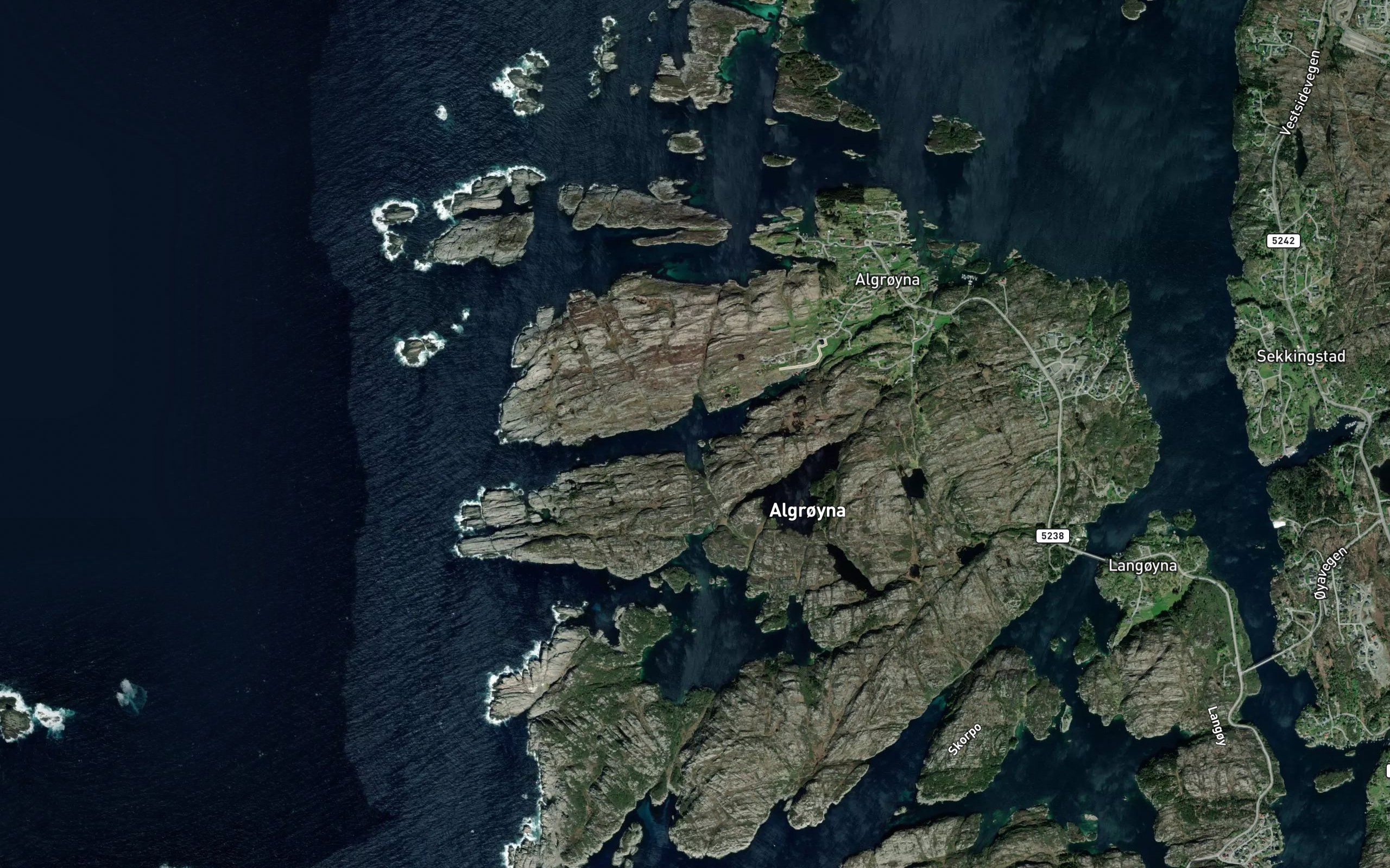 Kongevika