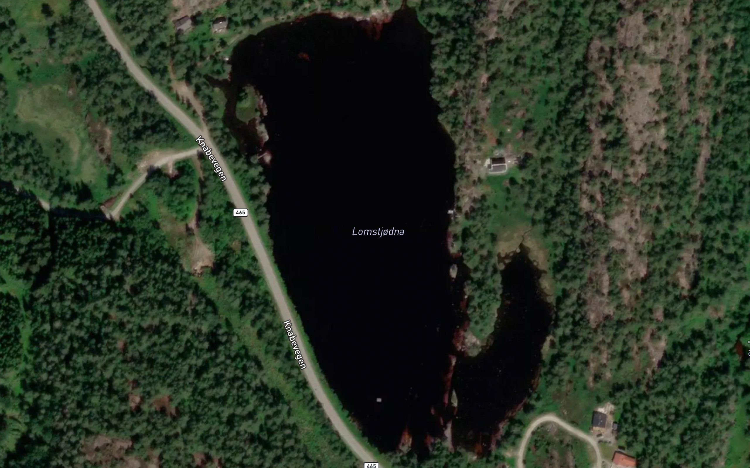 Lomtjorn