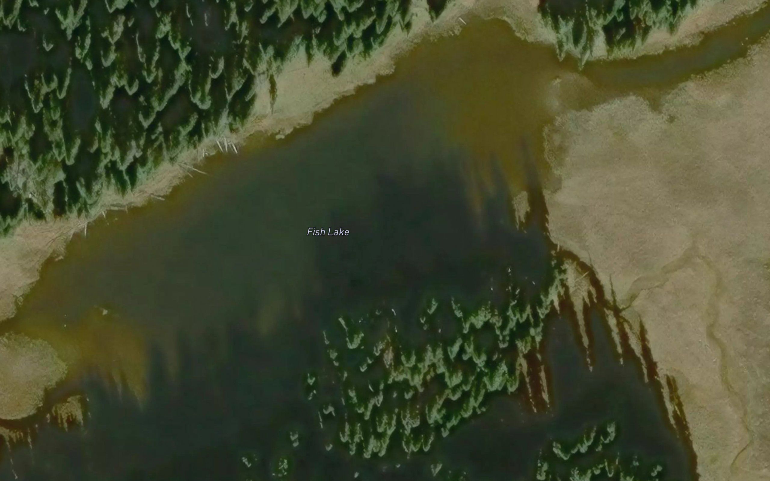 Fish Lake