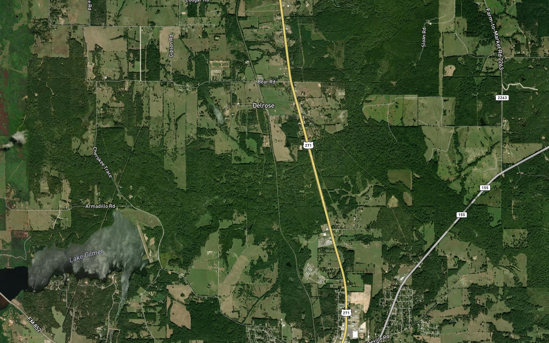 Satellite map of the Holmes Branch
