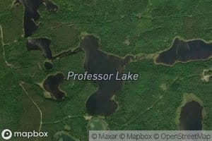 Professor Lake