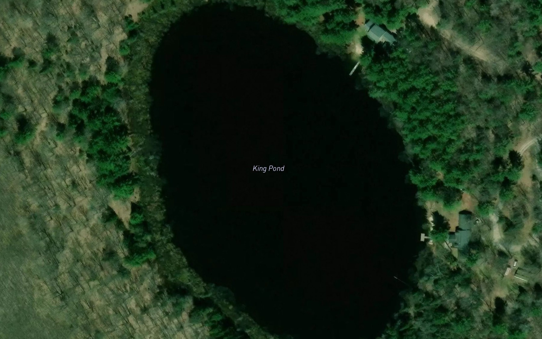 Satellite map of the King Pond