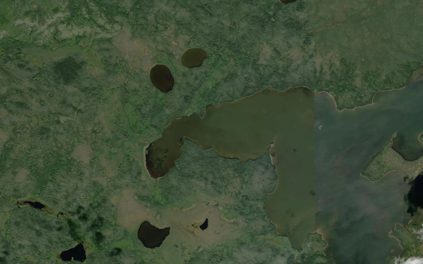 Satellite map of the Hawkins Bay