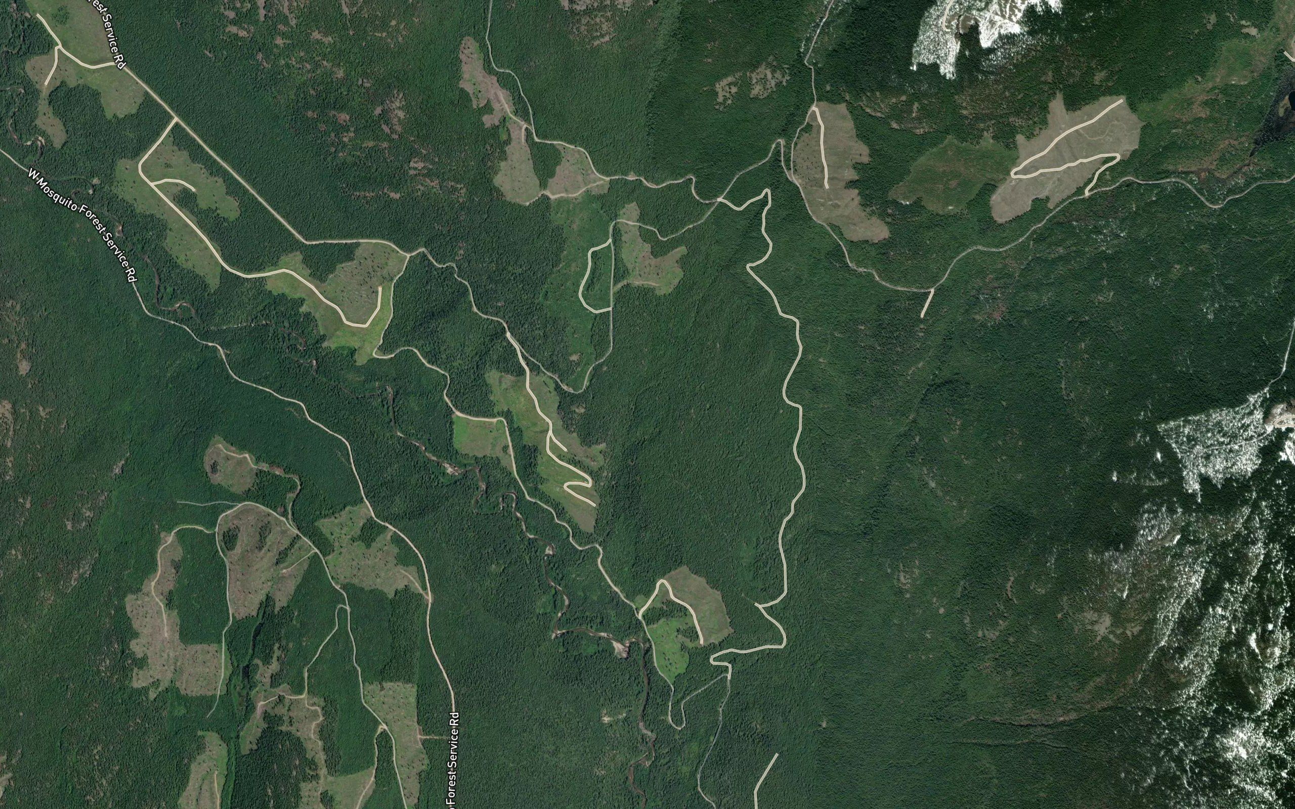 Turnbull Creek