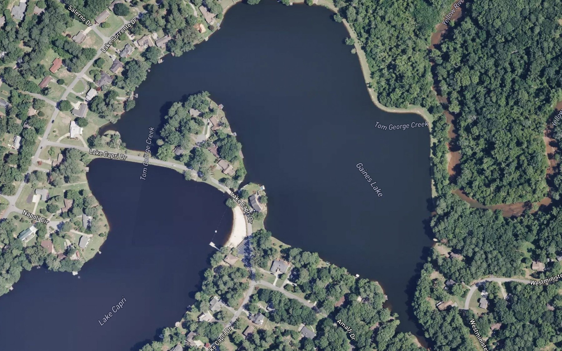 Satellite map of the Gaines Lake