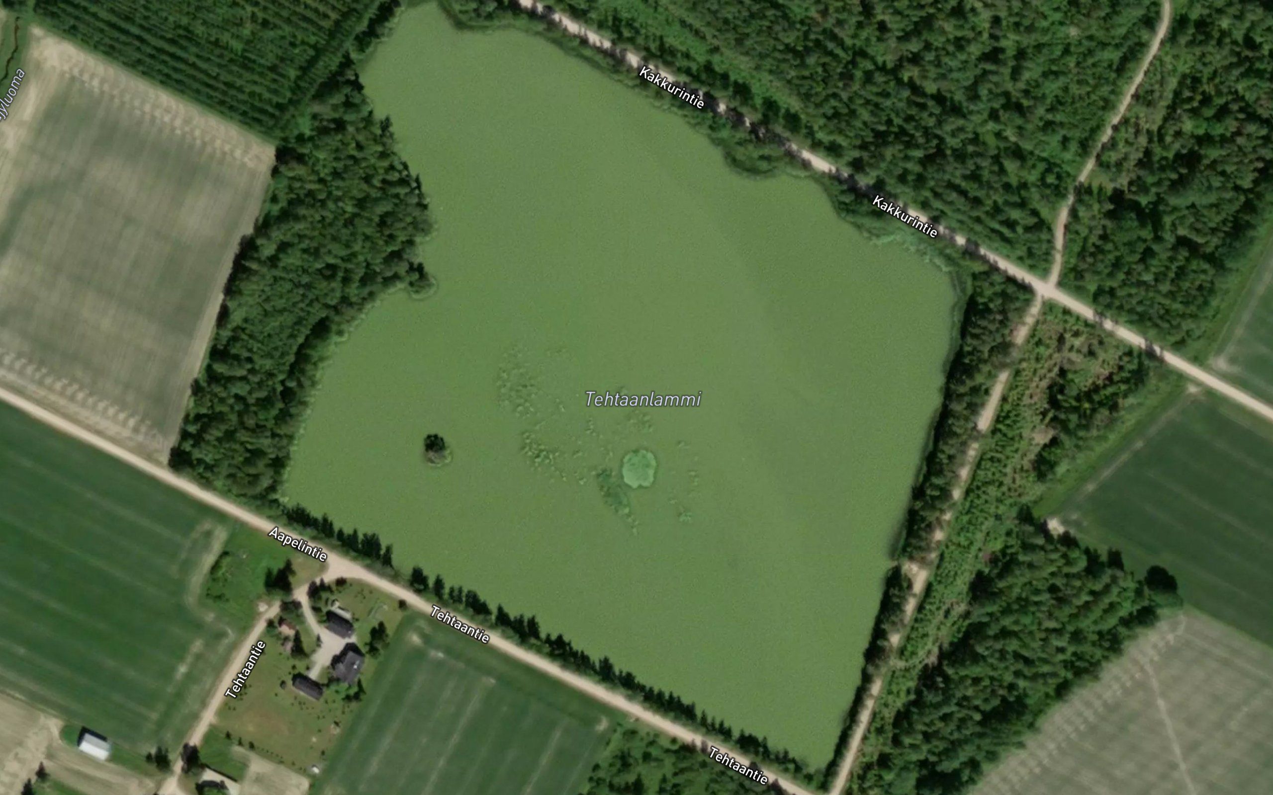 Tehtaanlammi