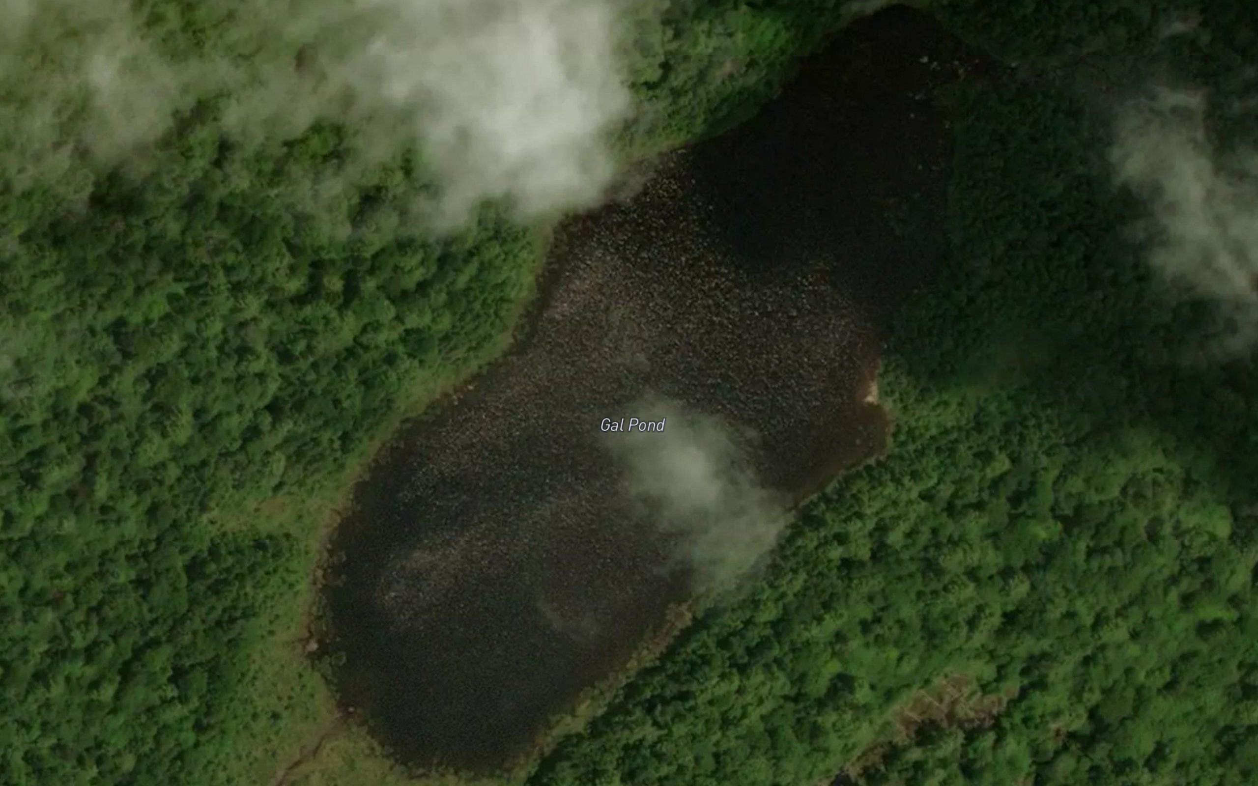 Gal Pond