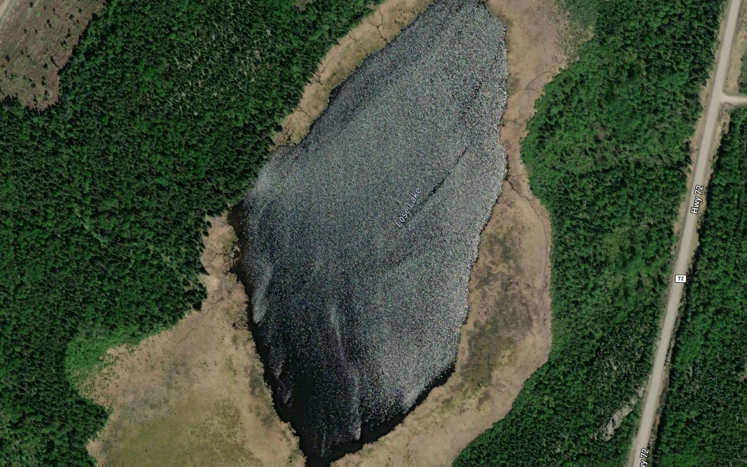 Lose Lake