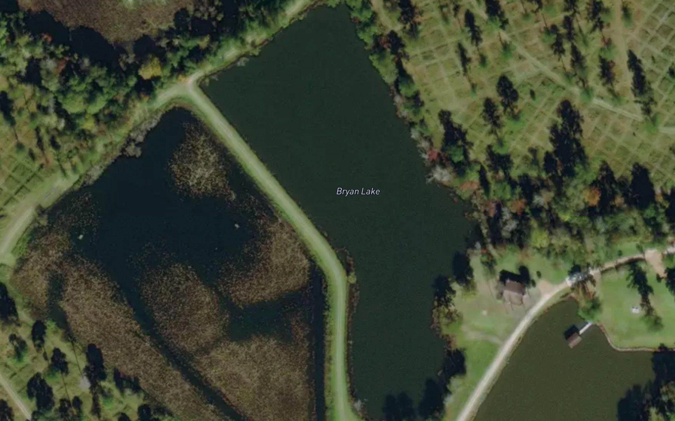 Bryan Lake