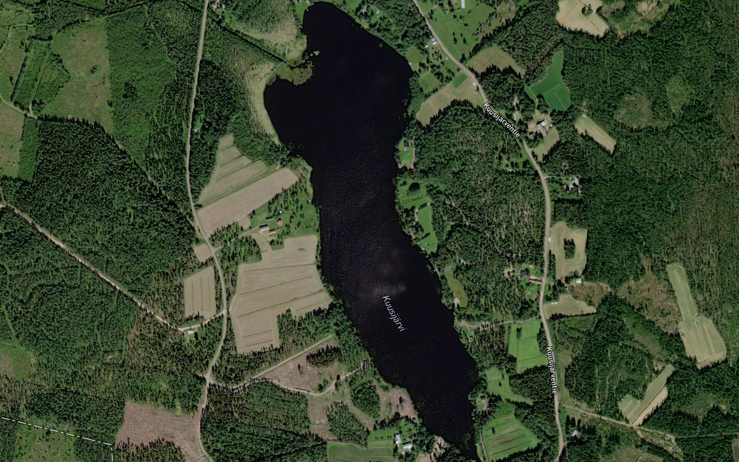 Kirjasluoma
