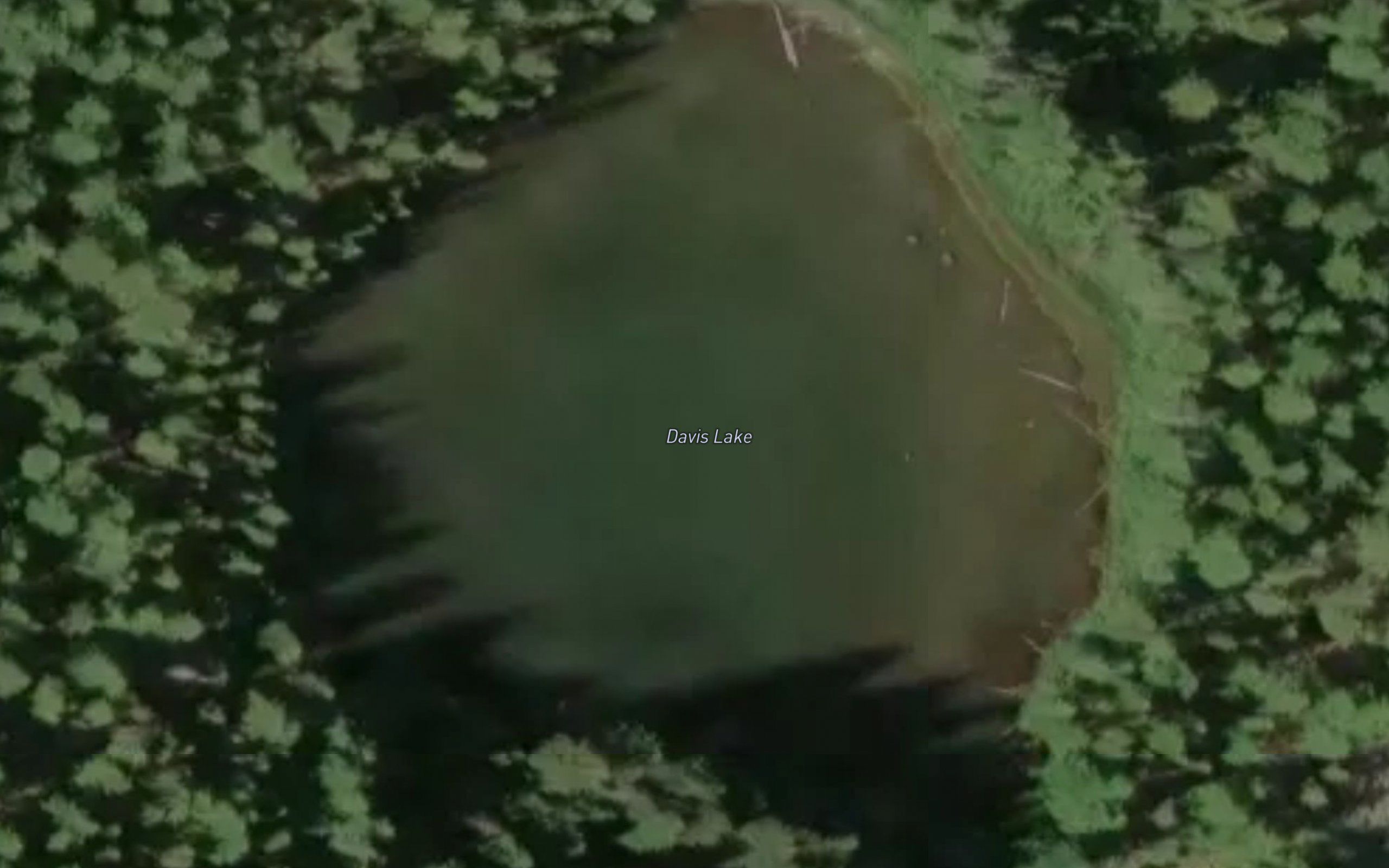 Davis Lake