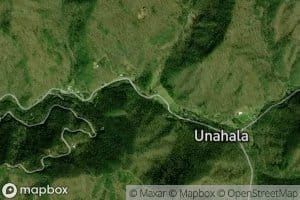 Second Hurricane Branch