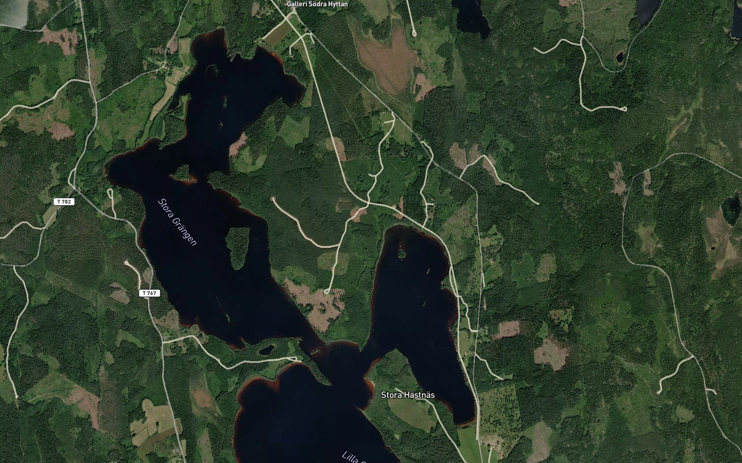 Hastnasviken