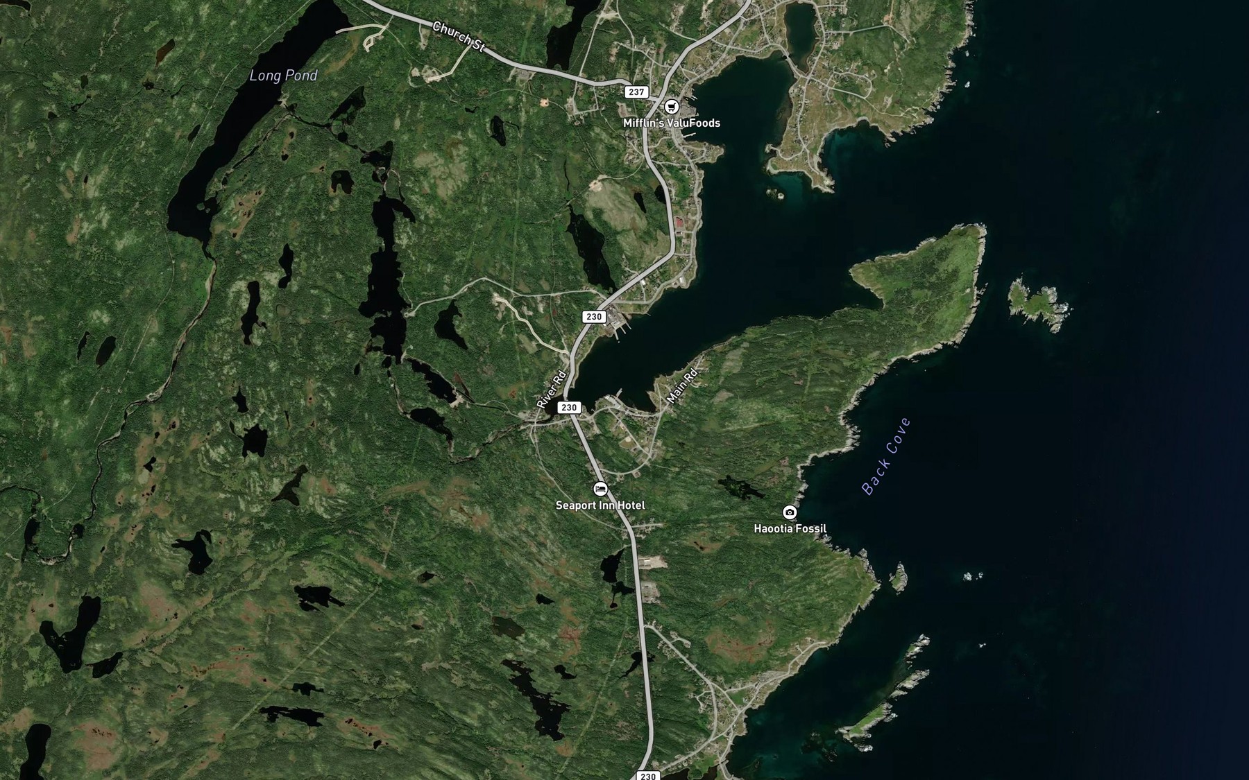 Satellite map of the Diamonds Pond