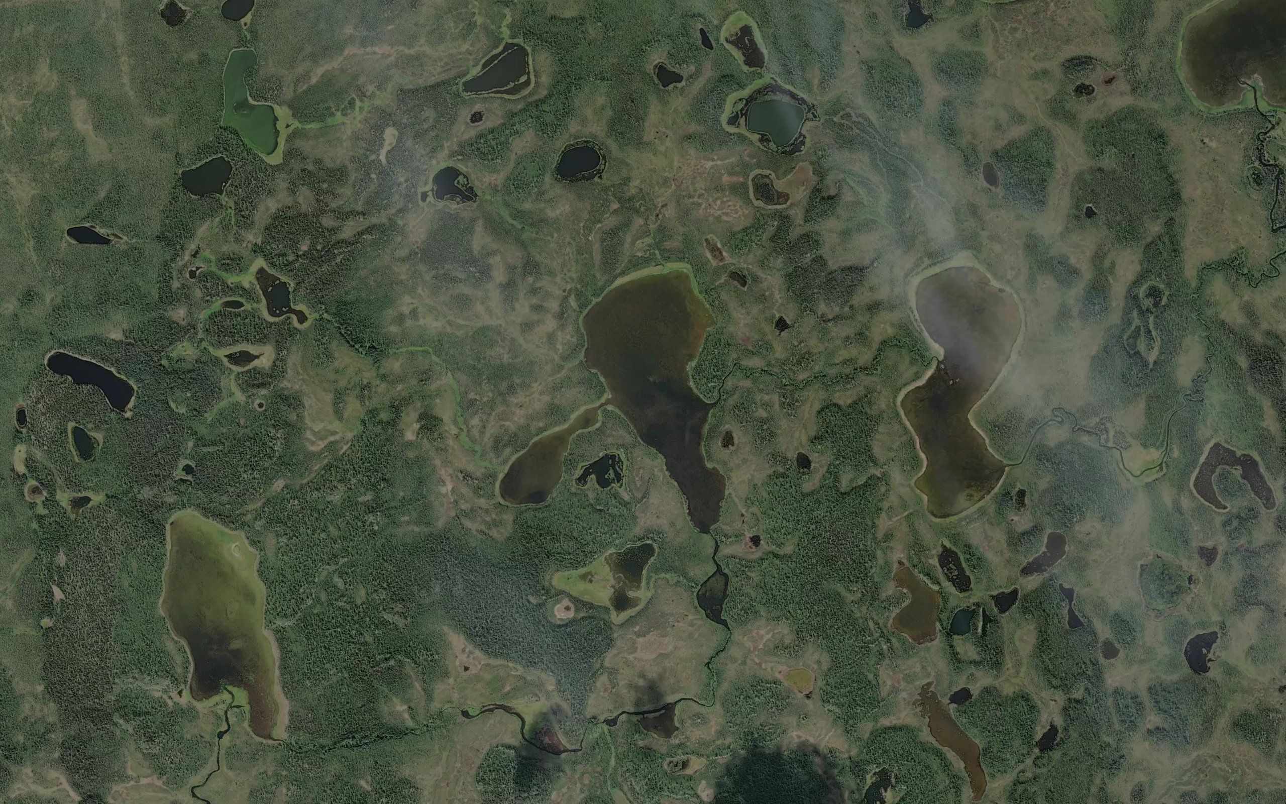 Tabert Lake