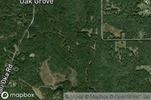 Coon Creek