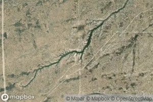 Fence Line Spring