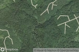 East Fork Tacoma Creek