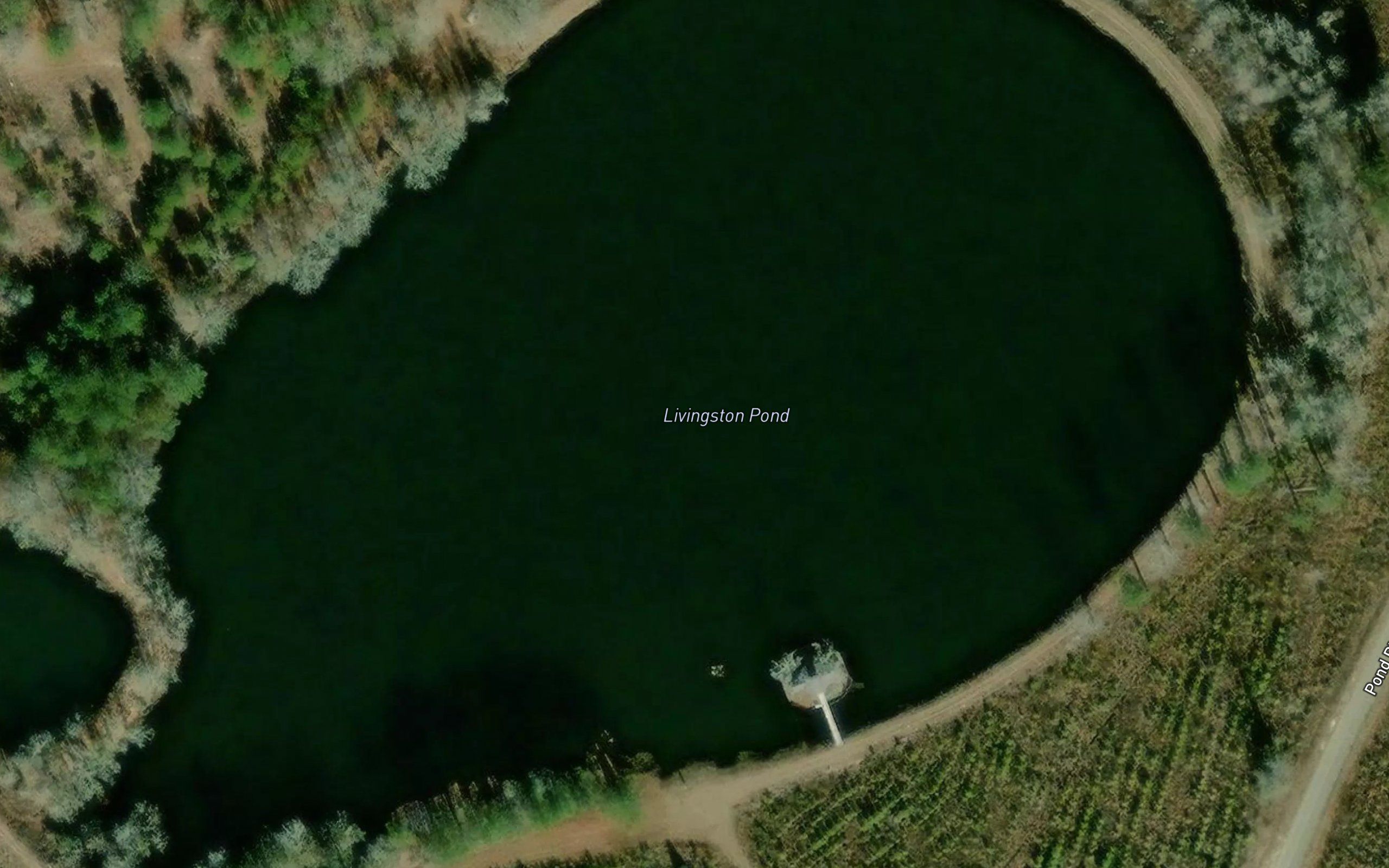 Livingston Pond