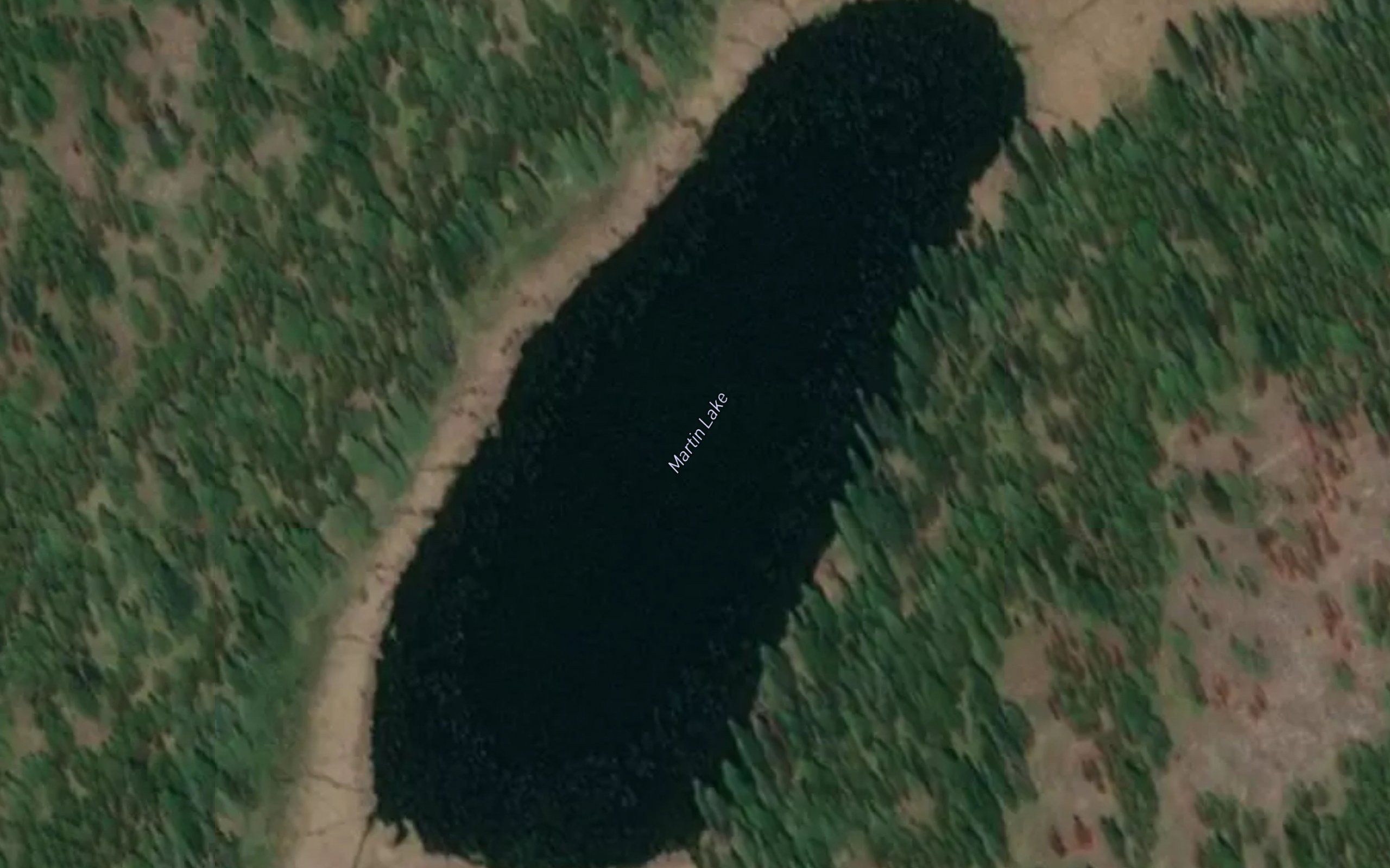 Martin Lake