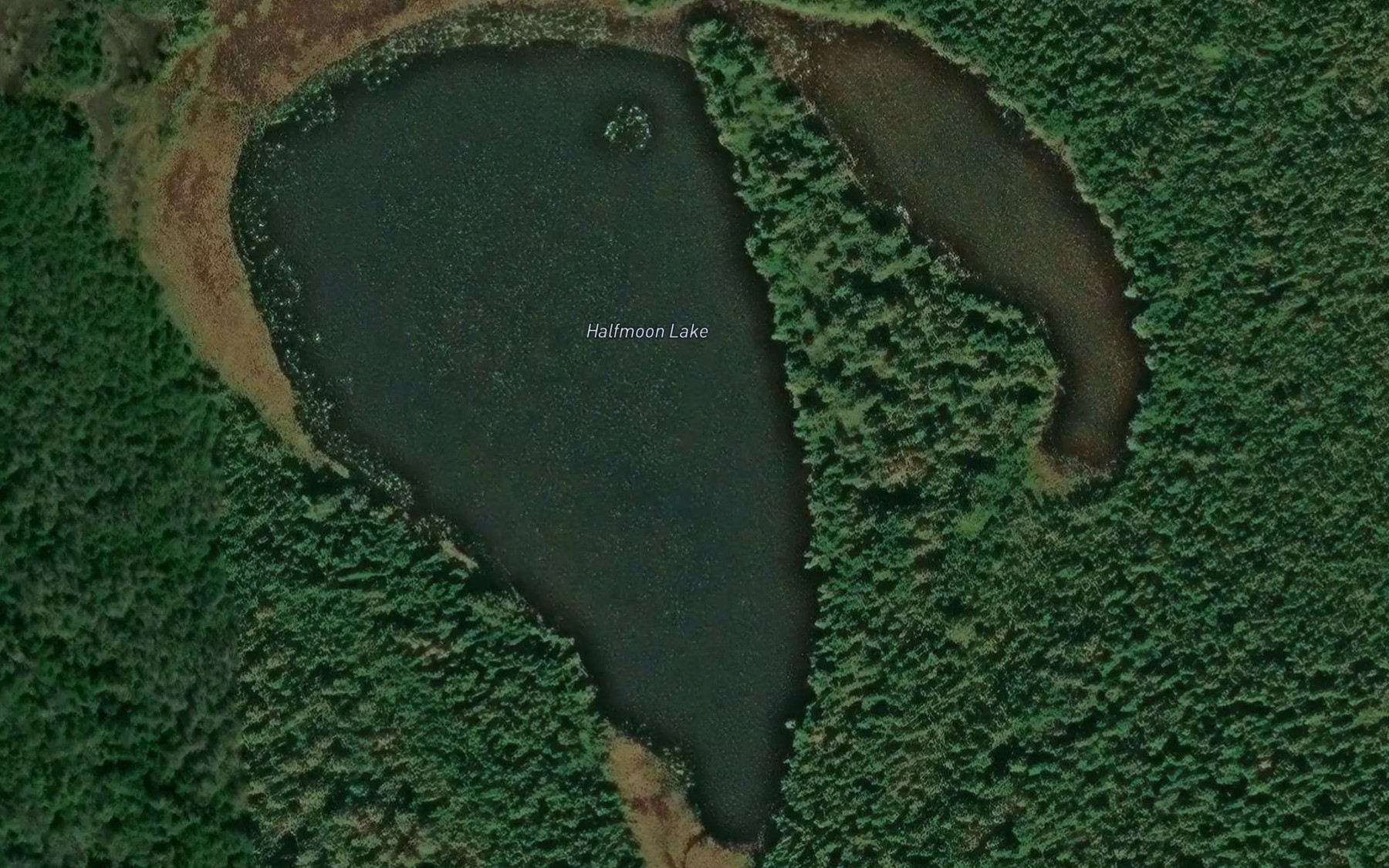 Satellite map of the Halfmoon Lake