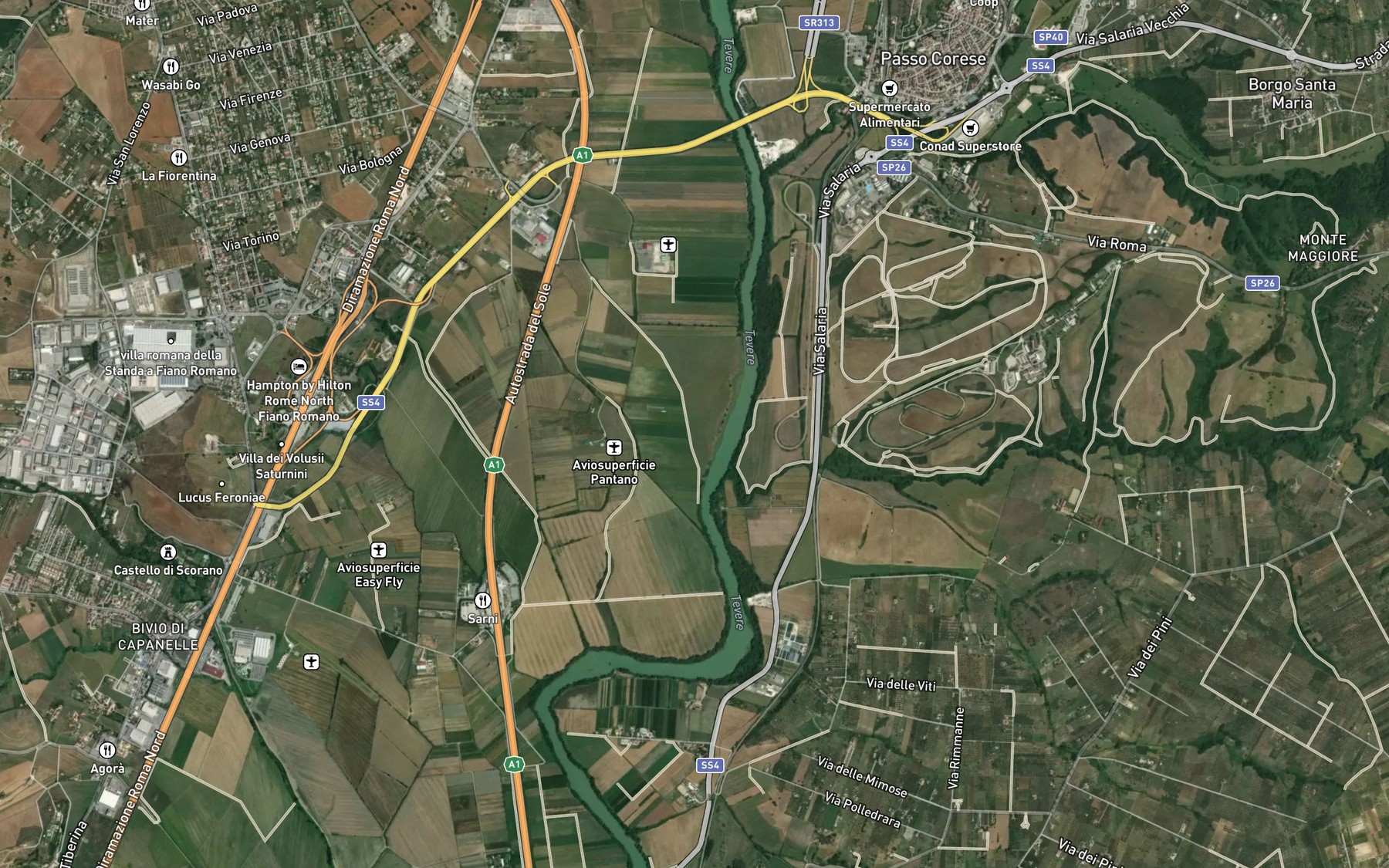 Satellite map of the Rio Moscio