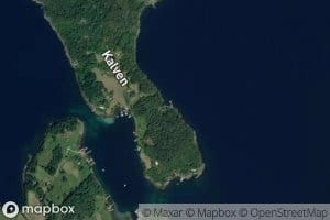 Pettersvika
