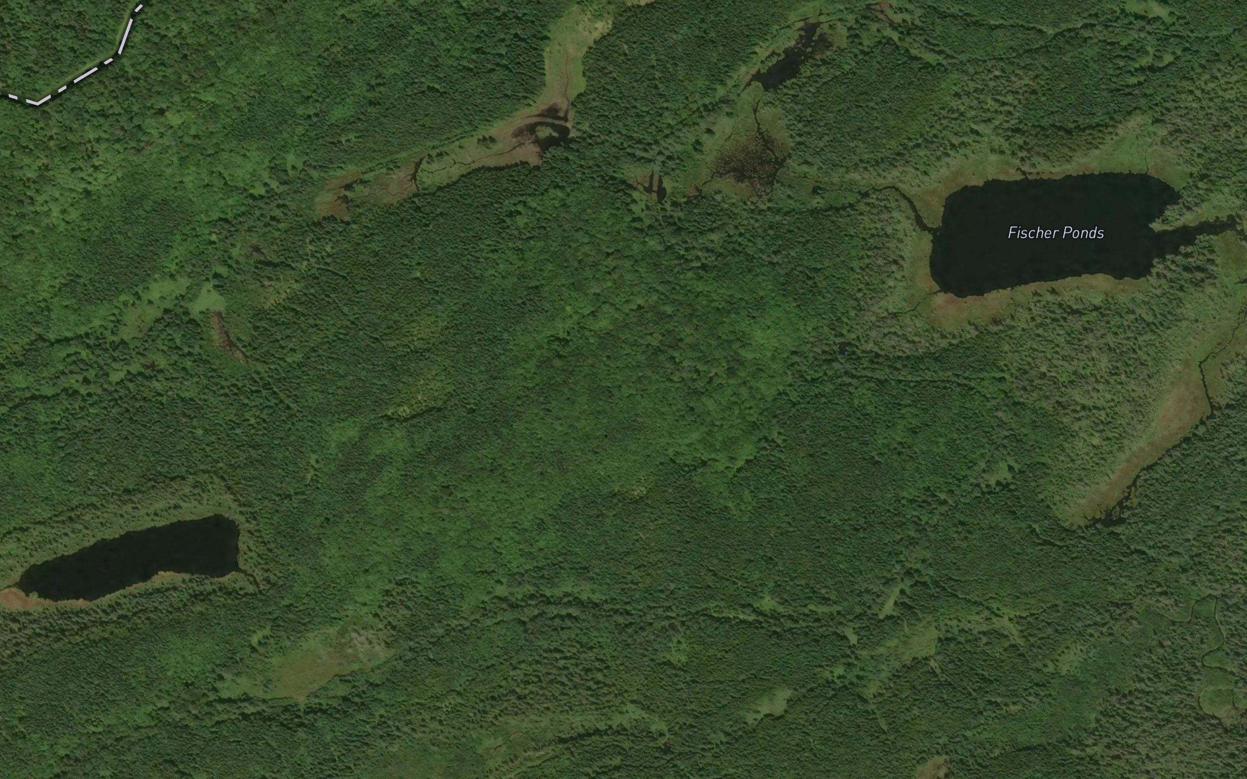 Fisher Ponds
