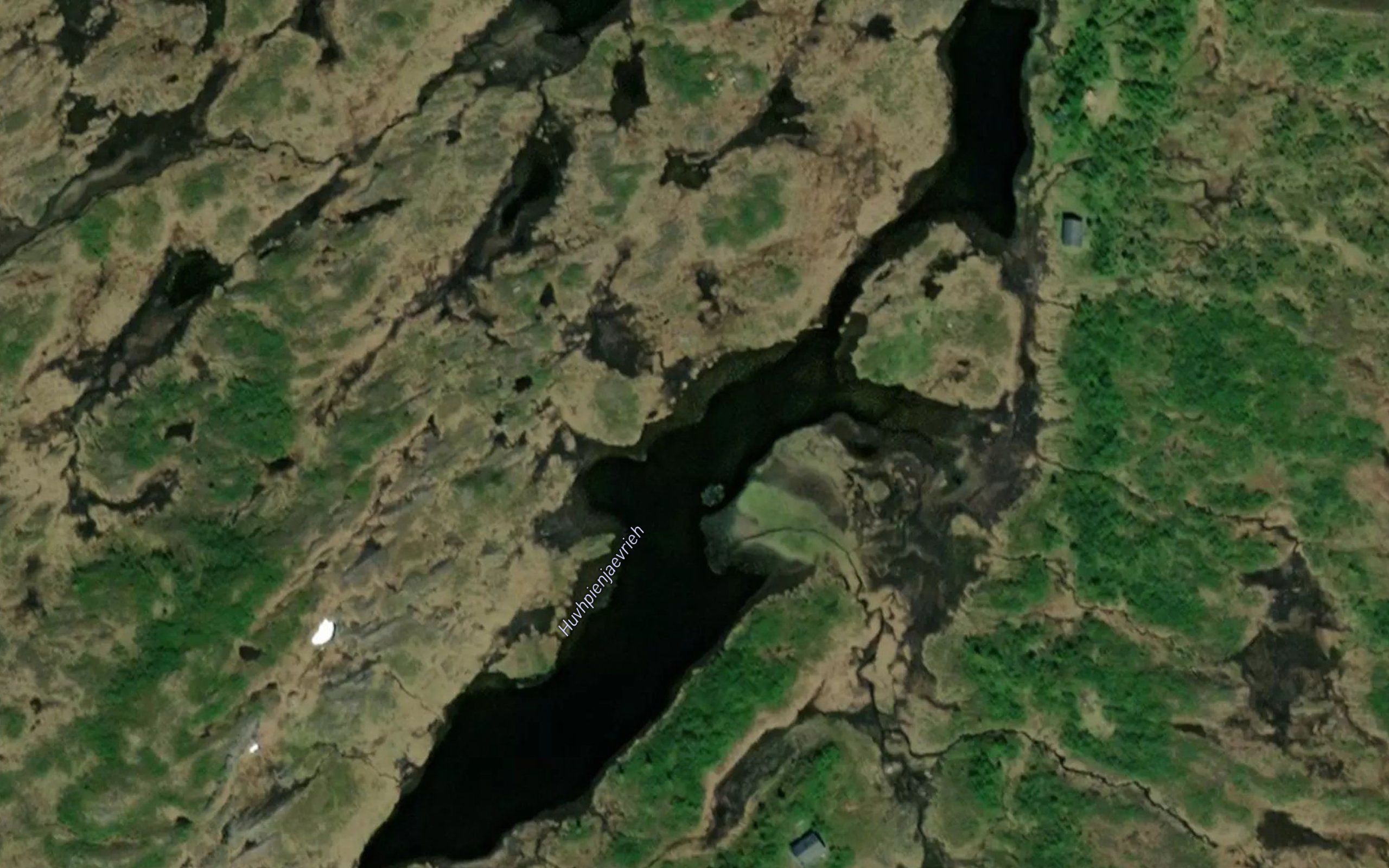 Huvhpienjaevrieh