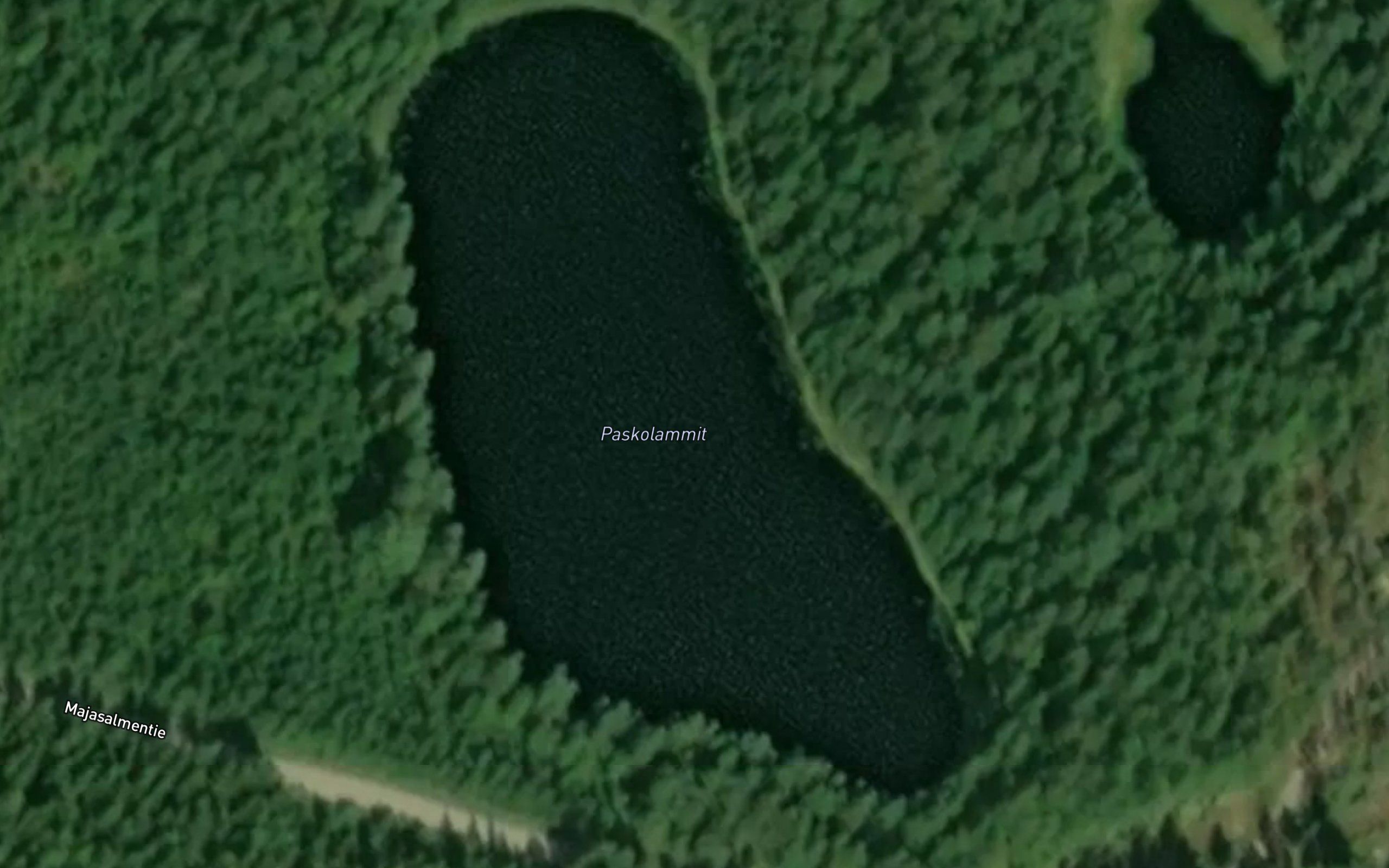 Paskolammit