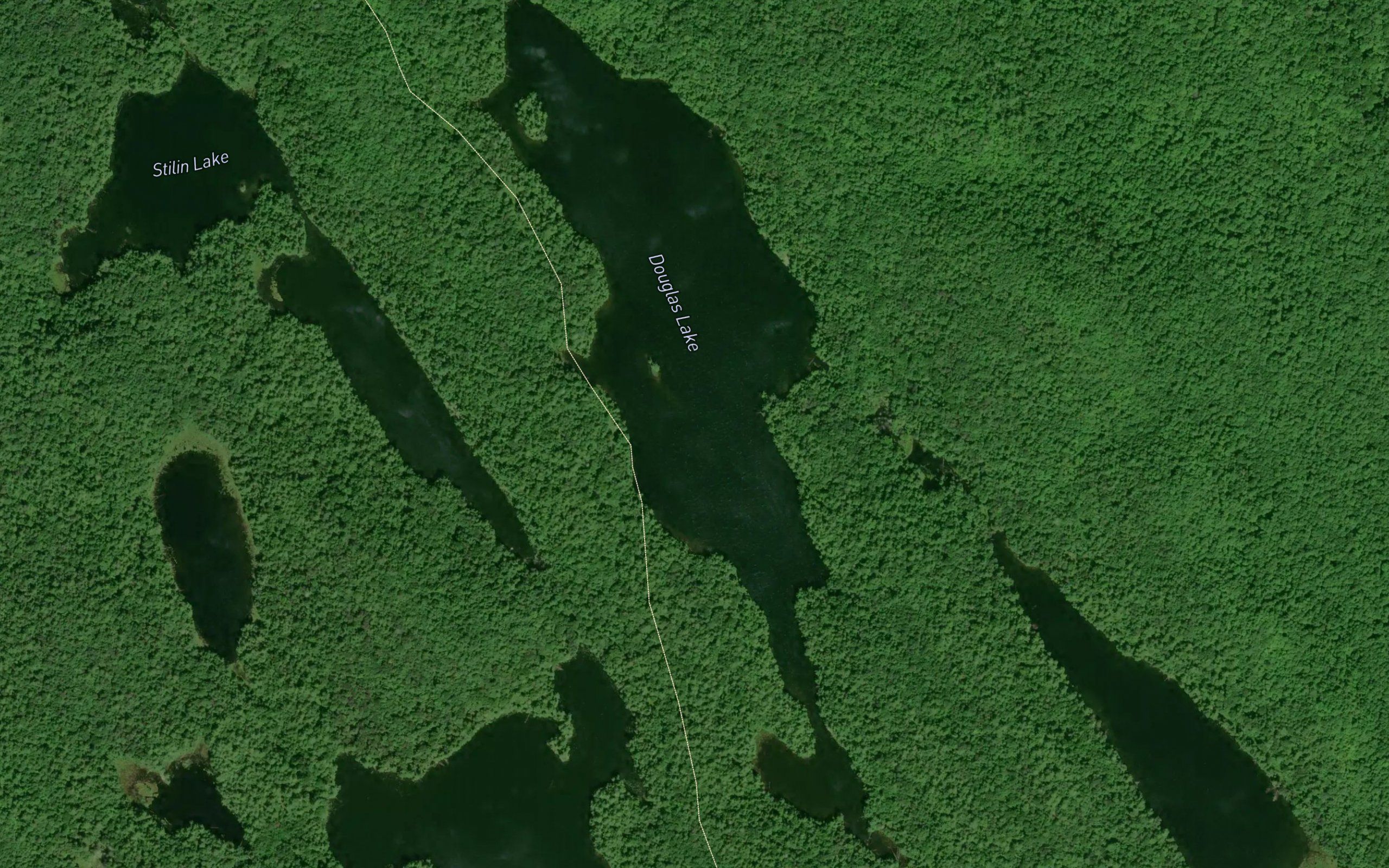 Douglas Lake