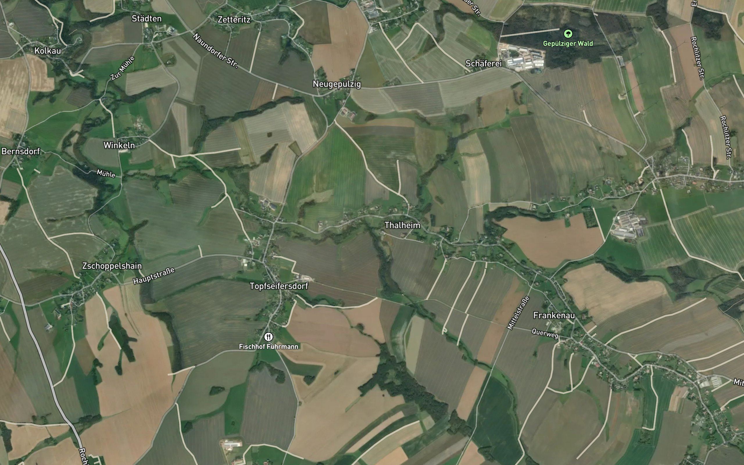 Holzbach
