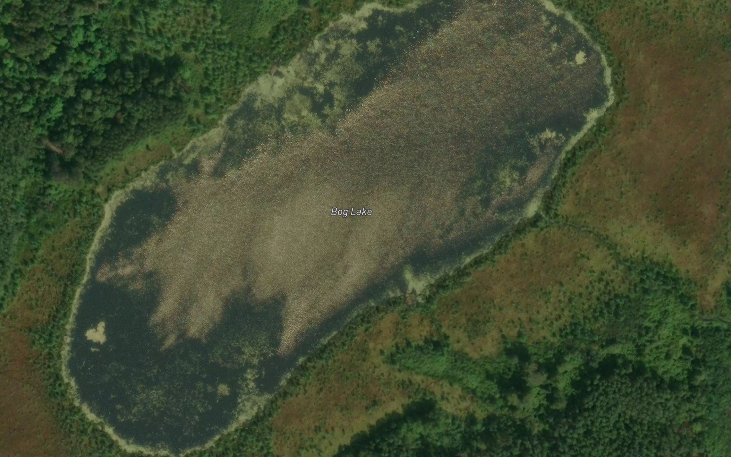 Bog Lake