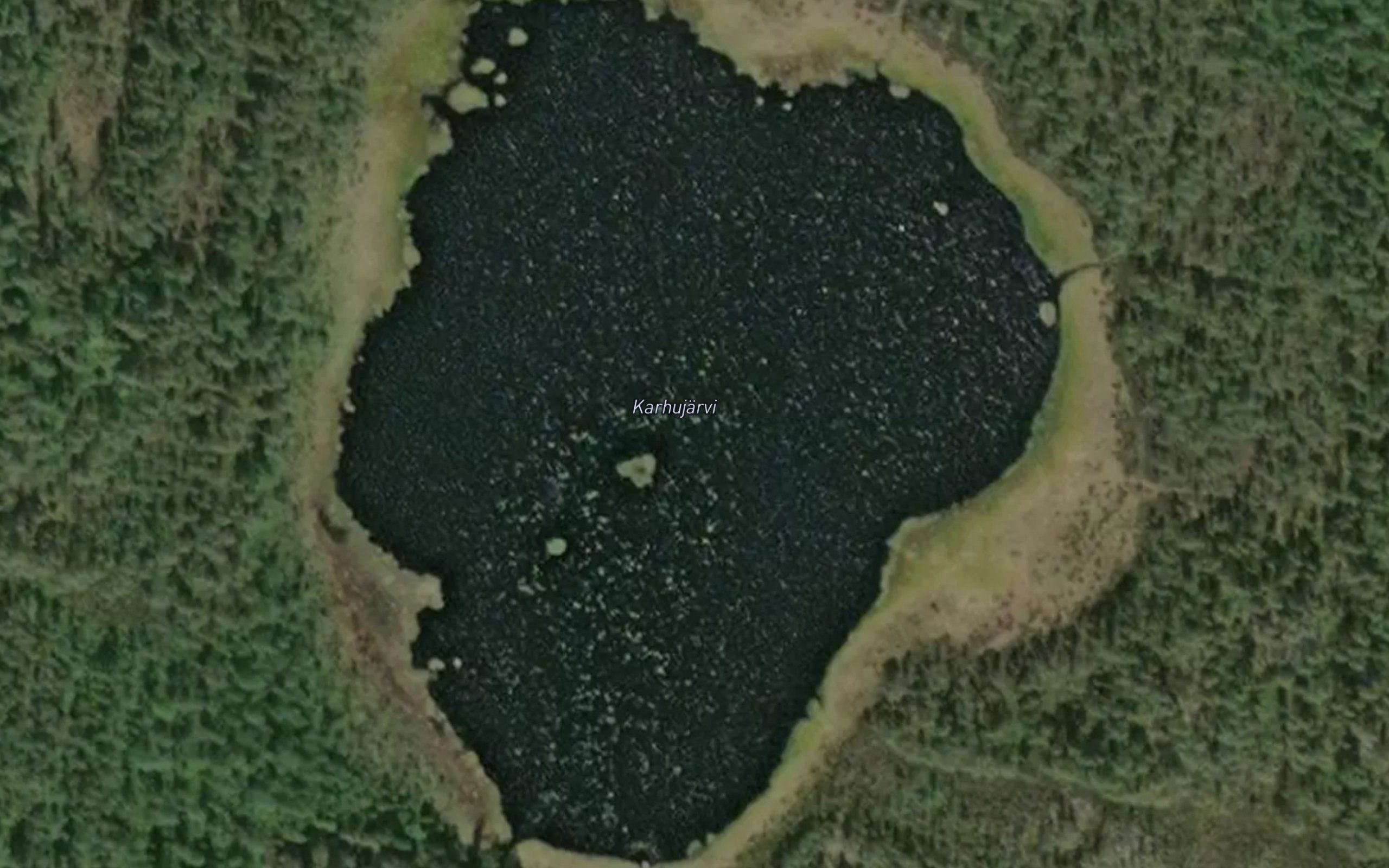 Karhujarvi