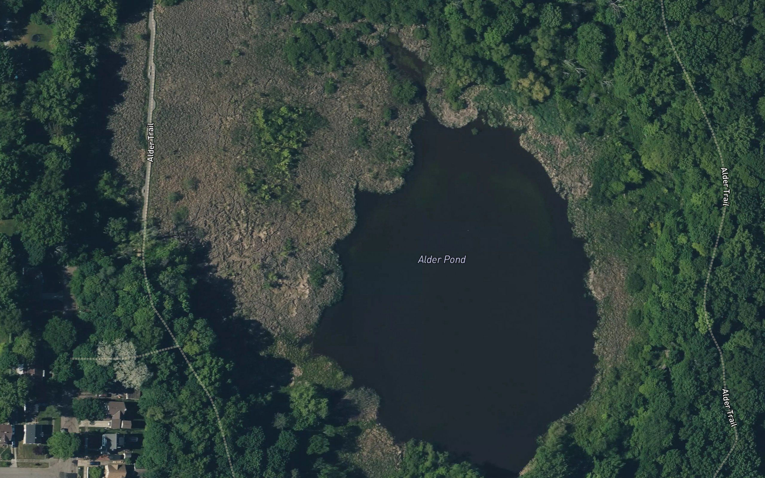Alder Pond