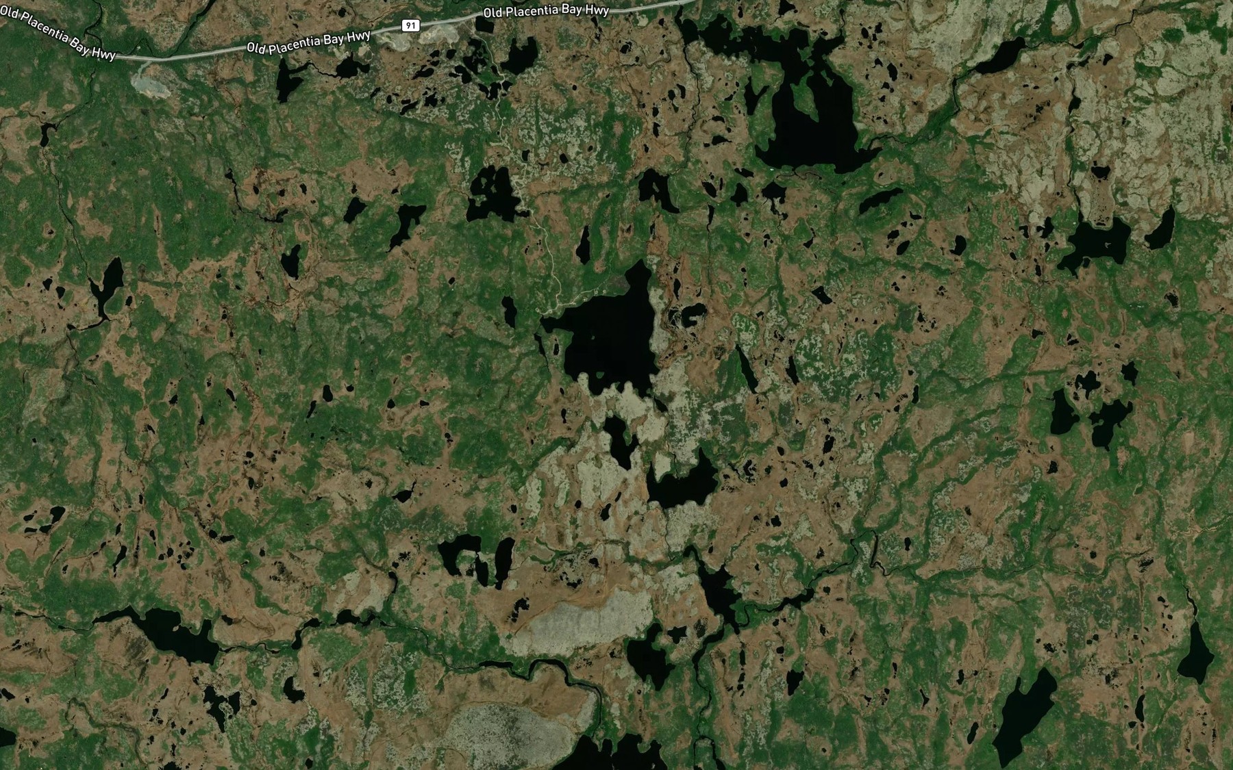 Satellite map of the Big Loon Pond